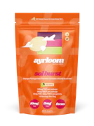 Ayrloom | Sol Burst - Gummies - 10pk