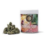 Solis | Tropicana Cherry | Pre-Pack | Sativa | [14g]