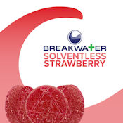 [REC] Breakwater | Solventless Strawberry | 100mg Soft Lozenge