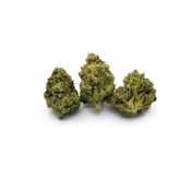 Sonoma Hills Farm | Root Beer Freeze | 14g