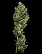 Sour Diesel Flower - 3.5g - CMC