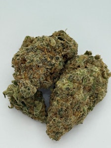 Hippy Trout - Gelato Frosting #5 14g