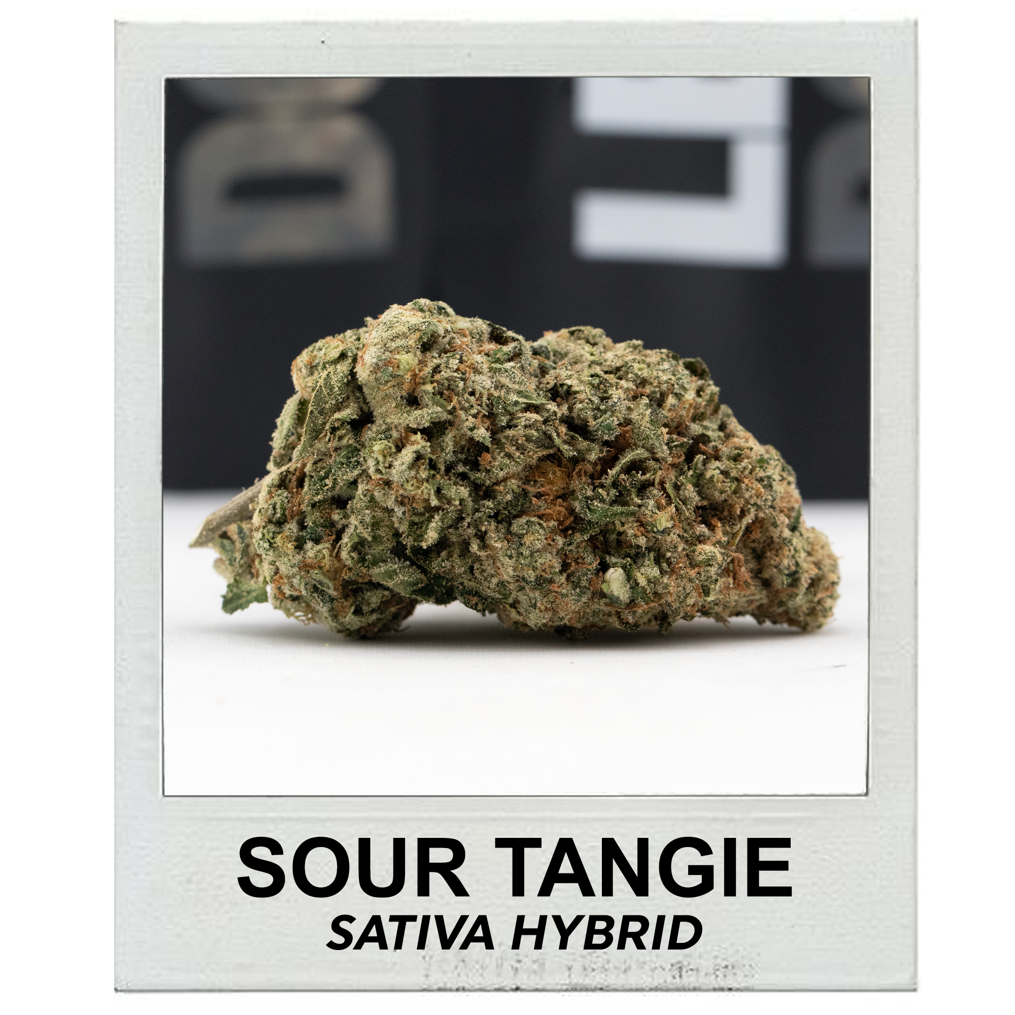 Sour Tangie