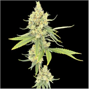 Green Lightning | Sour Strawberry | 3.5g