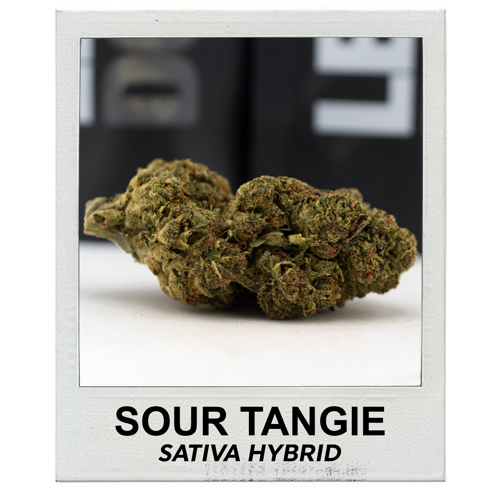 Sour Tangie