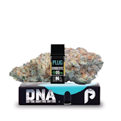 Syndicate OG (I) 87.33% | PLUG™ DNA | 1g Vape