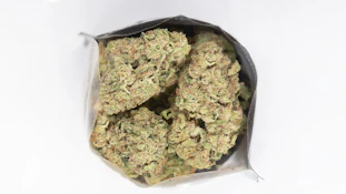 Madrone | Space Rocks | 14g