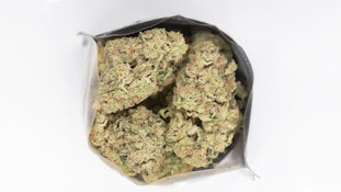 Madrone | Space Rocks | 3.5g