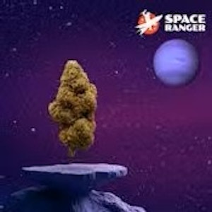 Space Ranger - Space Ranger | Flower | Pluto Colada X Orange Malt | Plasma Pack | 3.5g