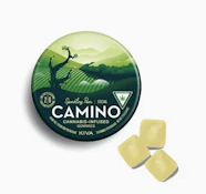 Camino Sparkling Pear "Social" CBD Gummies