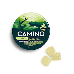 Camino - Camino - 2:6 THC/CBD Gummies (Sparkling Pear-Sativa)