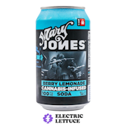 Mary Jones Berry Lemonade Soda