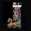 Milkweed - Lemon Cherry Gelato - 7g