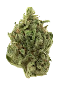 Super Silver Haze