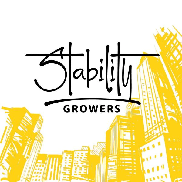 Stability Growers - STABILITY GROWERS - GOLDEN GOAT 0.5G PRE-ROLL Main Image