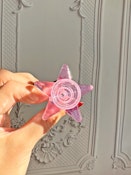 Shop Burning Love - Star Slide - Pink - Accessories