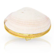 Stash Shell