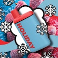 Holiday | Staycation | 0.5g AIO
