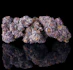 Product Preview Image 2
