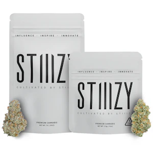 STIIIZY - ICE CREAM MINTZ - 14G White Label Mylar