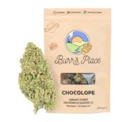 Burr's Place Orange Creampop (S) Flower 3.5g