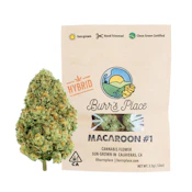 Burr's Place Macaron (H) Flower 3.5g