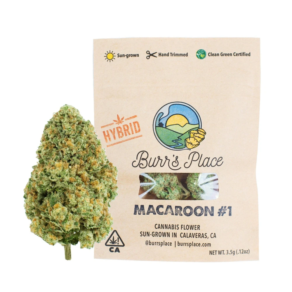 Burr's Place - Burr's Place Macaron (H) Flower 3.5g Main Image