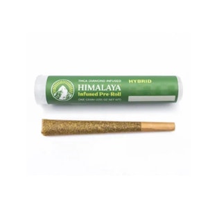 HIMALAYA - Himalaya Runtz (H) Infused Preroll 1g