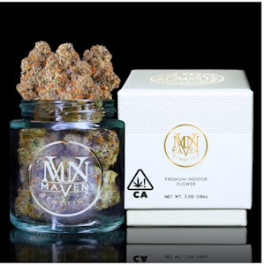 Maven - Maven x TAT Parisian Kush (H) Flower 3.5g