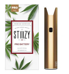 Gold Pro Battery