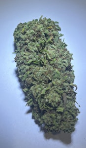 Token Heights - Token Heights - Stoned Panda - 3.5g