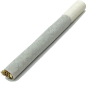 Cannabis Culture | Gelato 41 X Royal Wedding | Preroll | .75 Gram | Indica