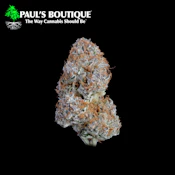 Flower | Straw-Lectric Lemonade