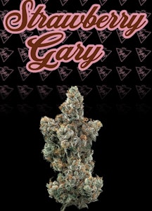 HIGHMARK PROVISIONS - Strawberry Gary Flower - 3.5g - HMP