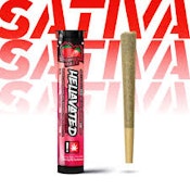 HELL | Strawberry Haze | 1g Sativa Flavored Infused Pre-roll