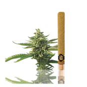 Strawberry Banana | Premium Infused Blunt | 2G