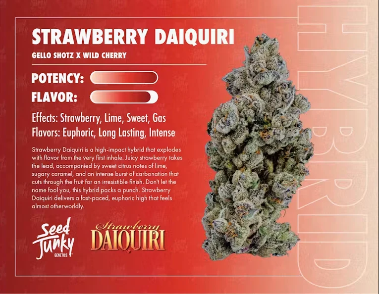 Seed Junky - Seed Junky - Hybrid - Strawberry Daiquiri Indoor - (3.5g) Main Image
