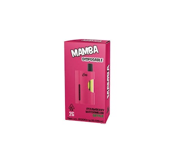 Instajane - Mamba Disposable |Strawberry Watermelon| 2g | (S)