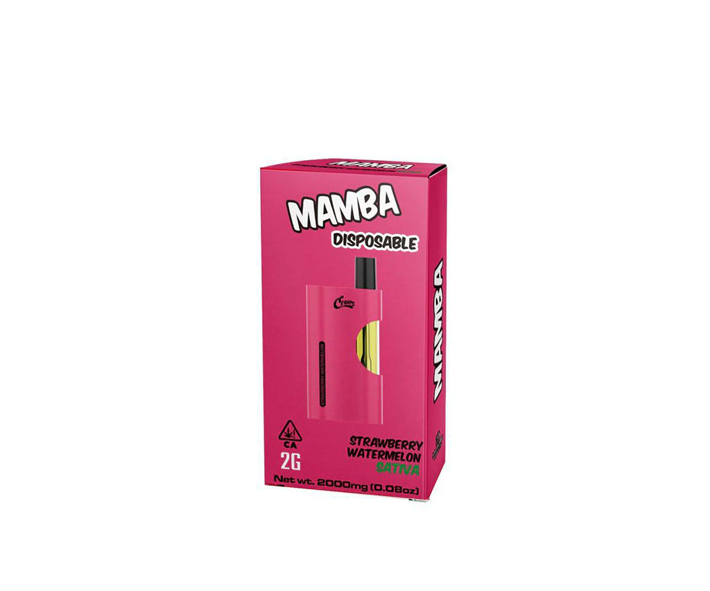 Instajane - Mamba Disposable |Strawberry Watermelon| 2g | (S) Main Image