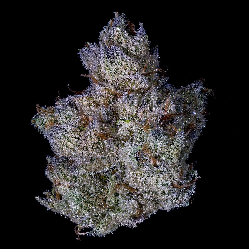 Fig Farms - Strawberry Guava - 3.5g (IH) - Fig Farms Main Image