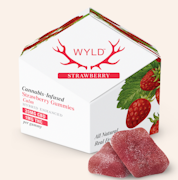 Strawberry 20:1 CBD + Hybrid Enhanced Gummies