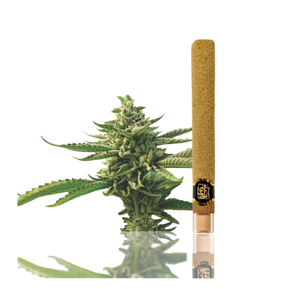 LIL LEFTY'S - Left Coast | Strawberry Banana | Infused Blunt | 2g Main Image