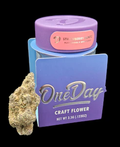 ONE DAY - Strawberry Runtz Flower - 3.5g