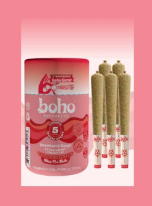 BOHO EUPHORICS - BOHO BURST | Strawberry | Double Infused | 5pk 2.5g