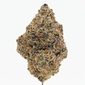 SUBZERO - TURNTABLES SUPREME SHELF FLOWER 2G 