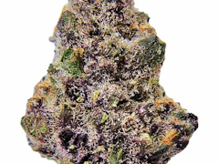 Westward Summit LLC - Block Berry - Deli Flower