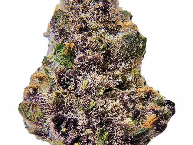 WESTWARD SUMMIT - Westward Summit LLC - Block Berry - Deli Flower Main Image