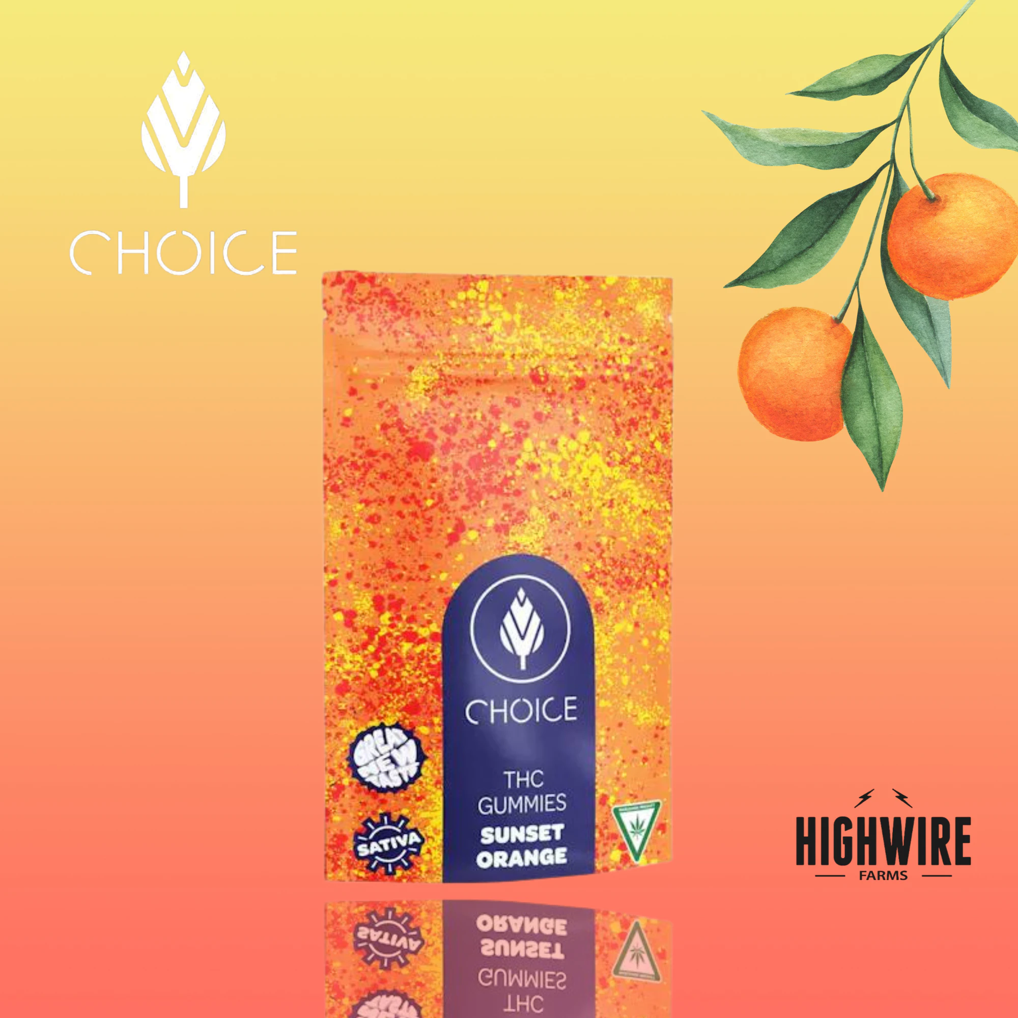 CHOICE - Choice Gummies Sunset Orange 100mg (Sativa) Main Image