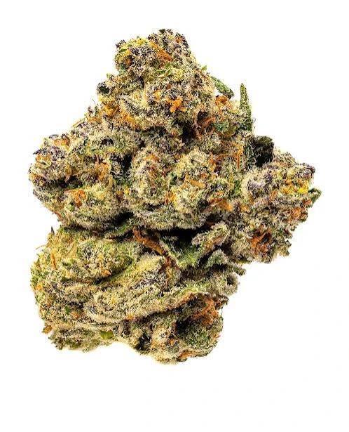 Campfire Cannabis - Sunset Sherbert 3.5g Main Image