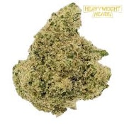 Bulk flower | Heavyweight Heads | Sunshine